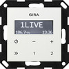 228403 als Beispiel fr Radios aus dem Schalterprogramm Gira Profil55.